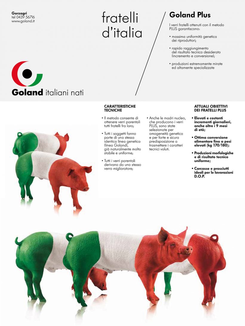 tony goland tony goland